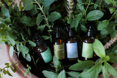 Refill Home Spray