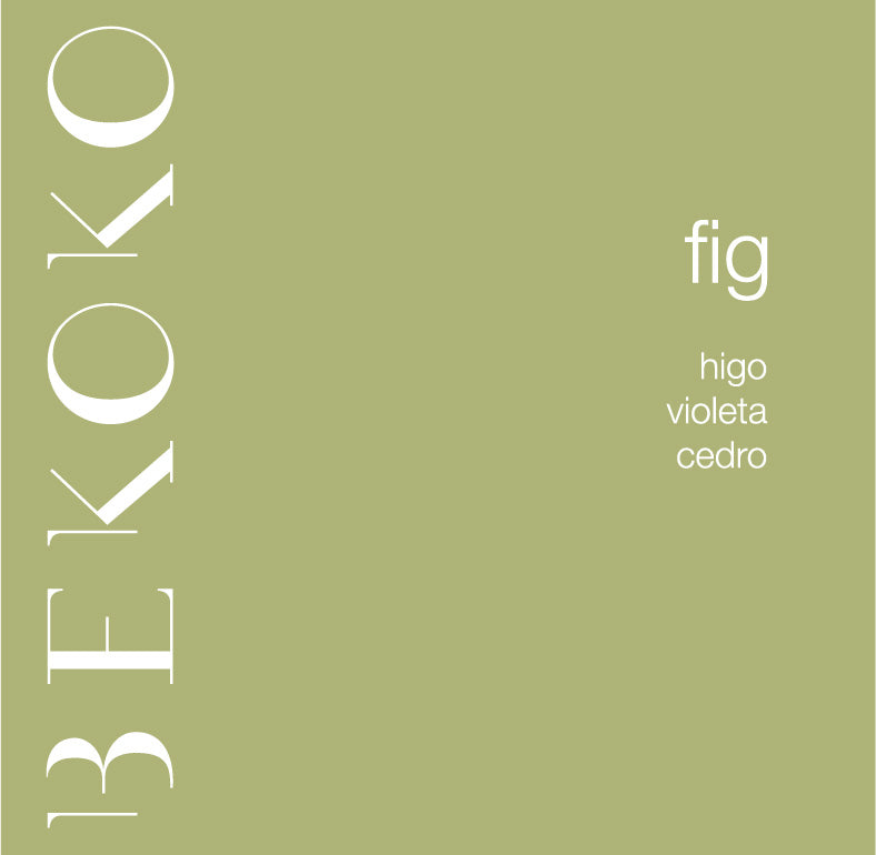Fig