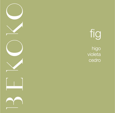 Fig